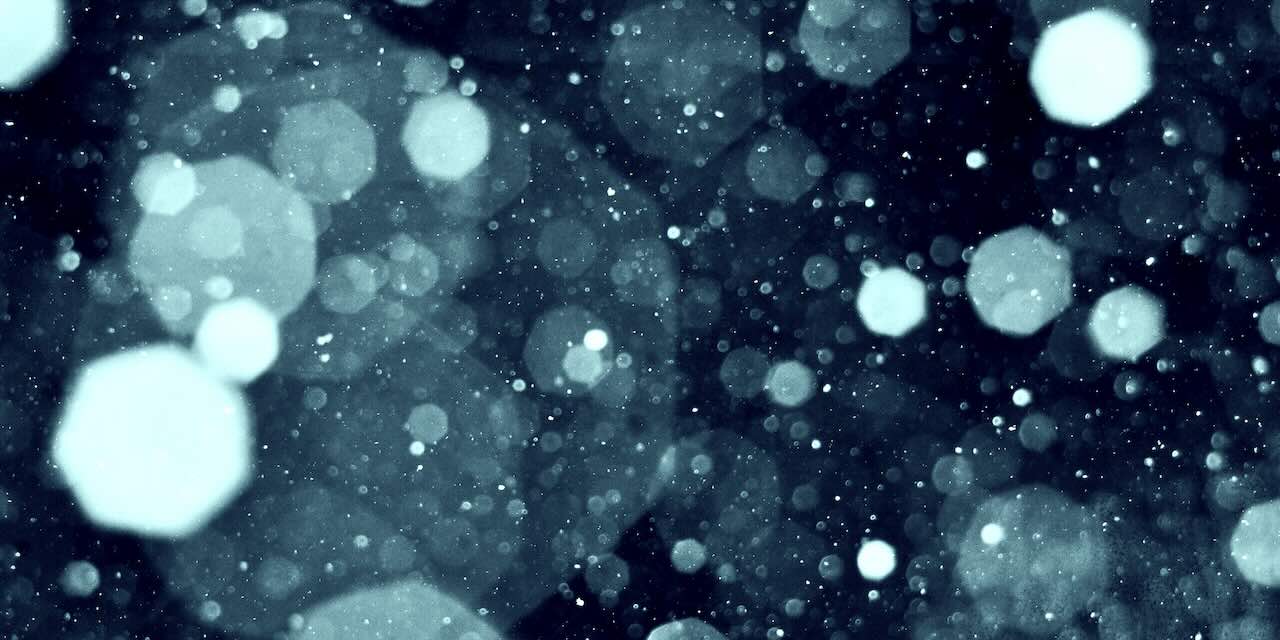 Littérature sans anthroponyme